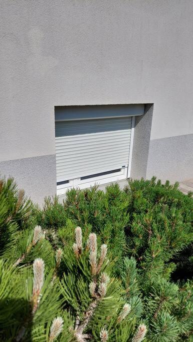 City Lodge Pine, Free Parking Lubiana Esterno foto